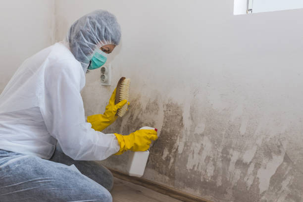 Best Crawl Space Mold Removal  in Flint Hill, MO