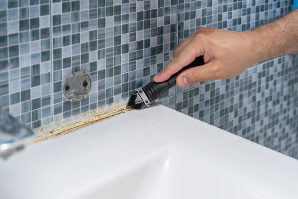 Best Mold Cleaning Services  in Flint Hill, MO